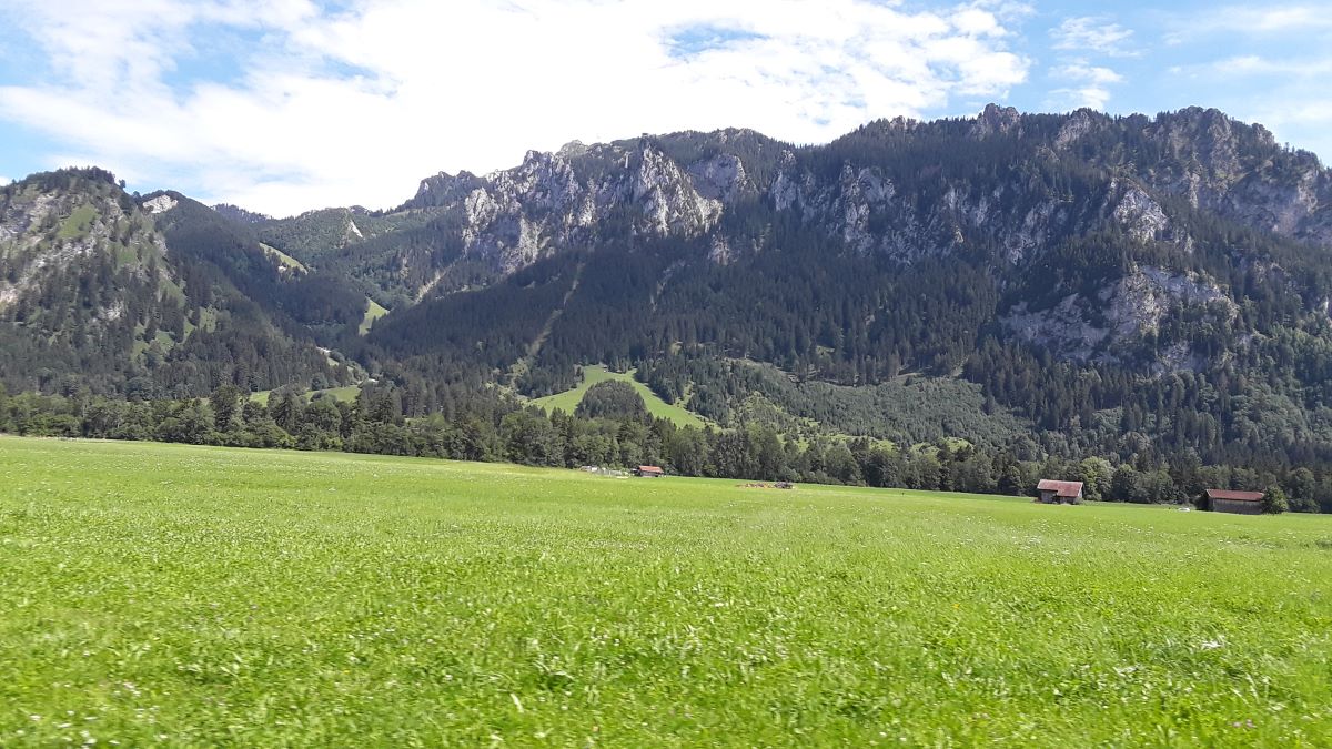 20180728_150755.jpg