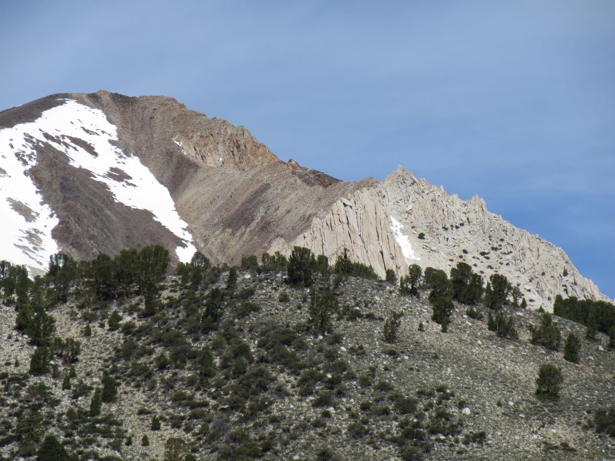 IMG_3866.jpg