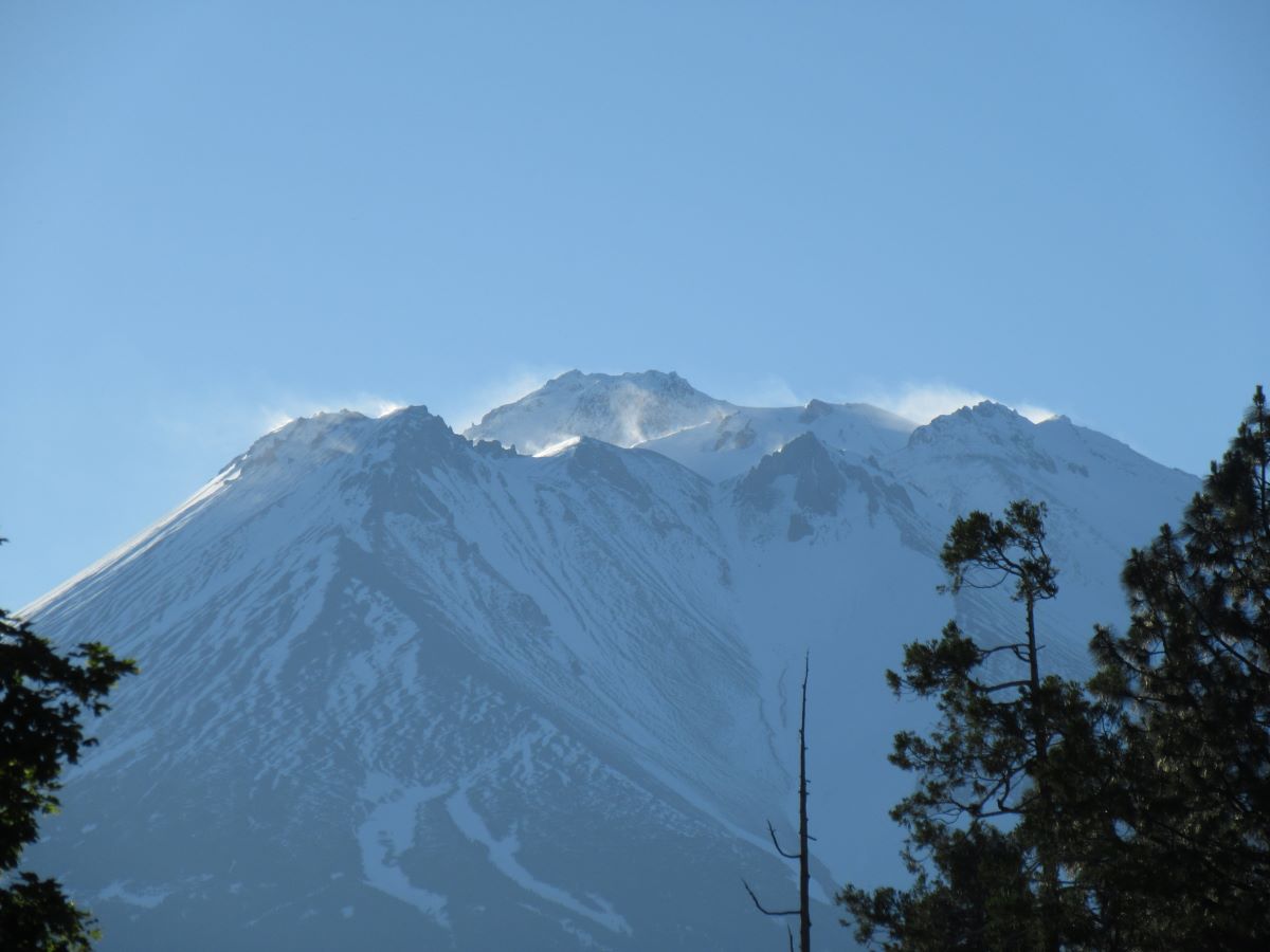 IMG_3946.jpg