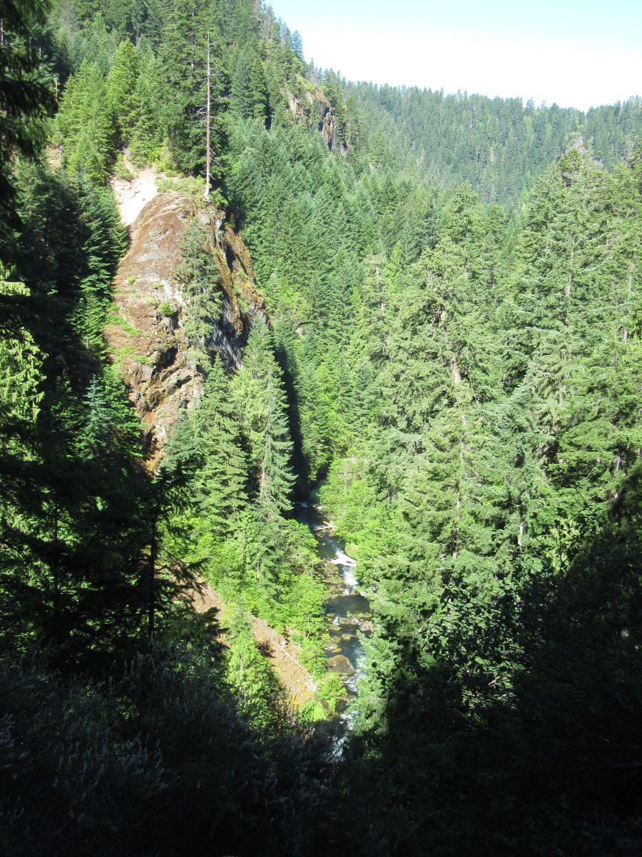 IMG_4009.jpg