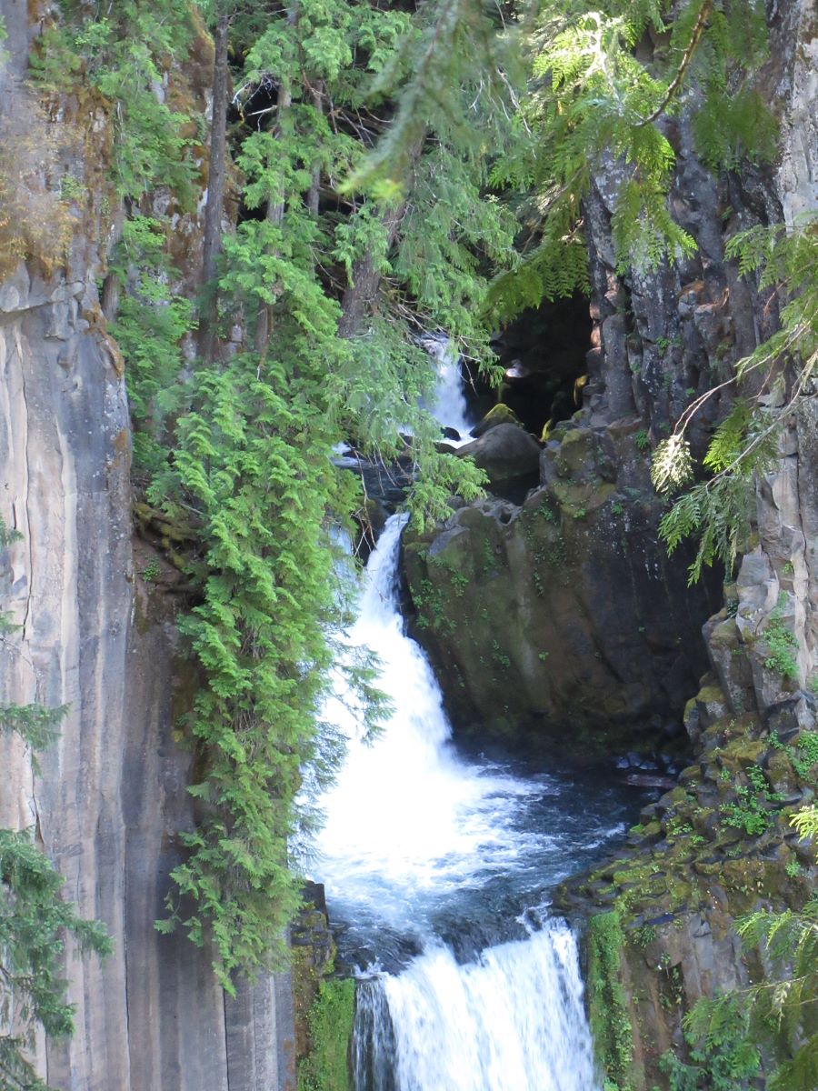 IMG_4011.jpg