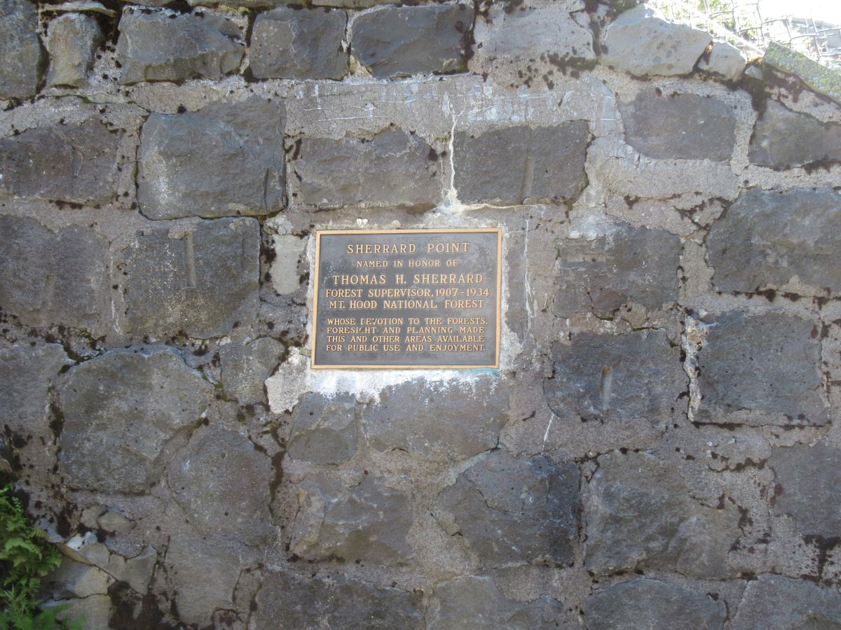 IMG_4031.jpg