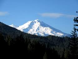 IMG_3941.jpg