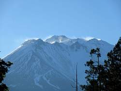 IMG_3946.jpg