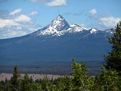 IMG_3992.jpg