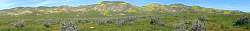 IMG_6262_stitch.jpg